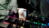 Long cat keycap (RGB, MX stem)